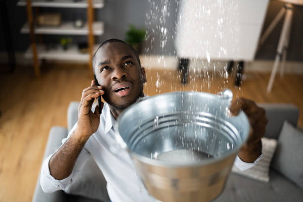 Best Residential water damage restoration  in Evansdale, IA