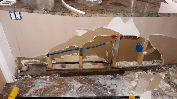 Best Water damage cleanup near me  in Evansdale, IA