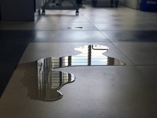 Best Carpet water damage restoration  in Evansdale, IA