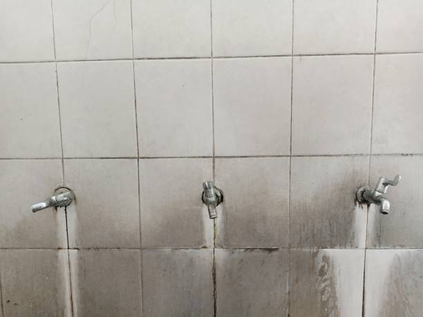 Best Commercial water damage restoration  in Evansdale, IA