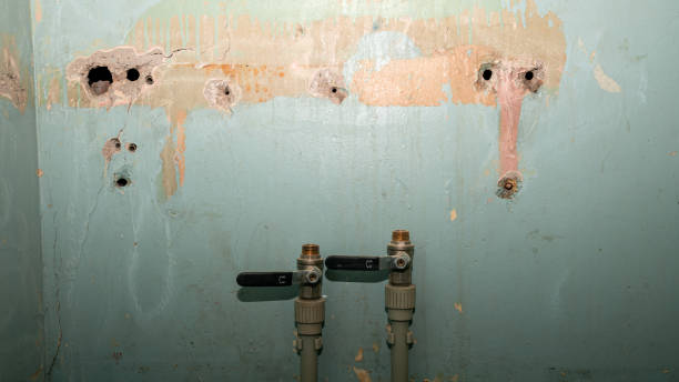 Best Flood restoration services  in Evansdale, IA