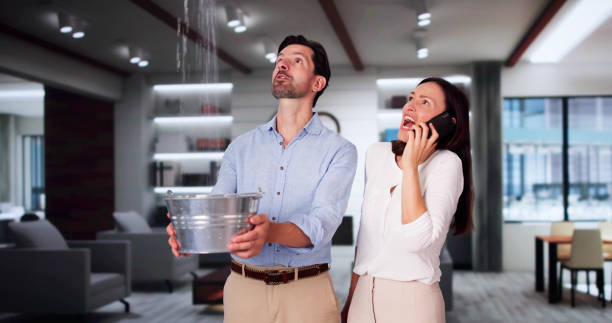 Best Water damage cleanup near me  in Evansdale, IA